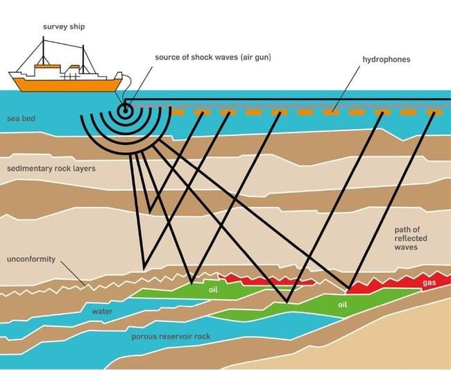 Feedback Sought: Proposed 3D Marine Seismic Survey in the Offshore Roebuck Basin Feedback Sought: Proposed 3D Marine Seismic Survey in the Offshore Roebuck Basin
